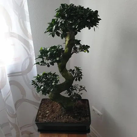 Apartamento Mueller *