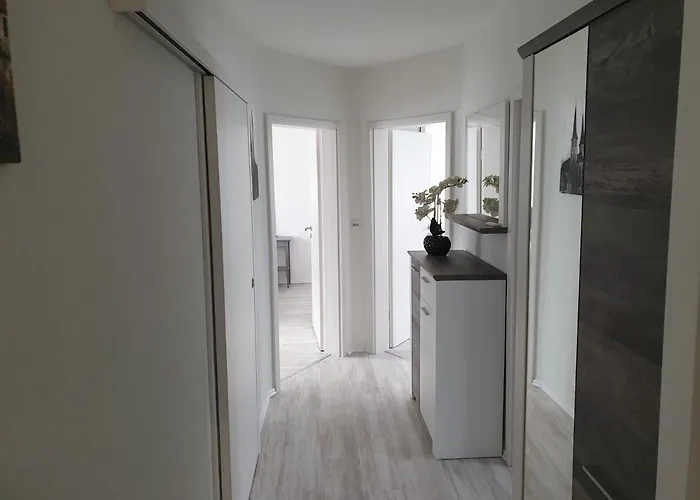 Mueller * קנזינגן